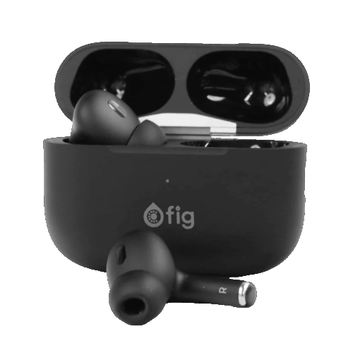 Fig Wireless Earbuds