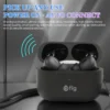 Fig Wireless Earbuds
