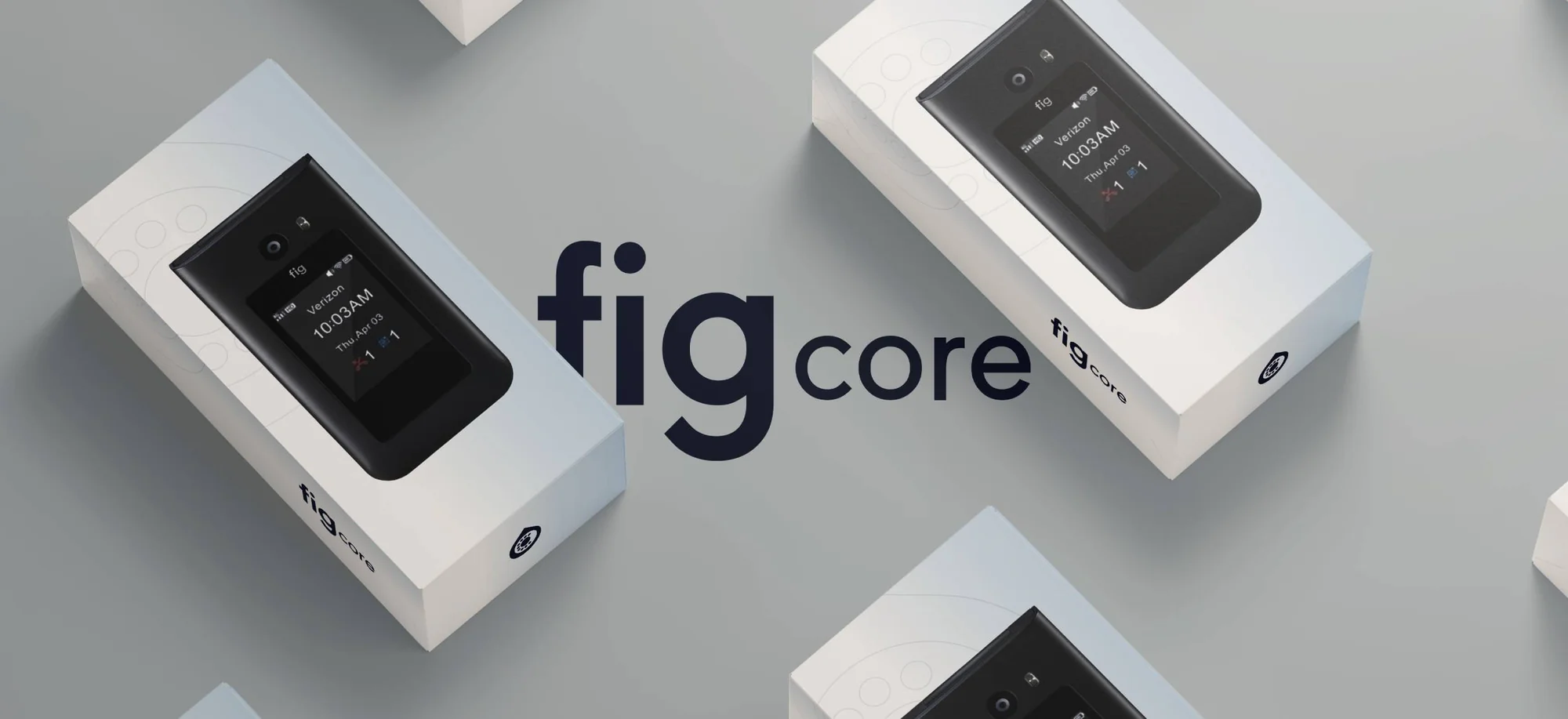 fig core