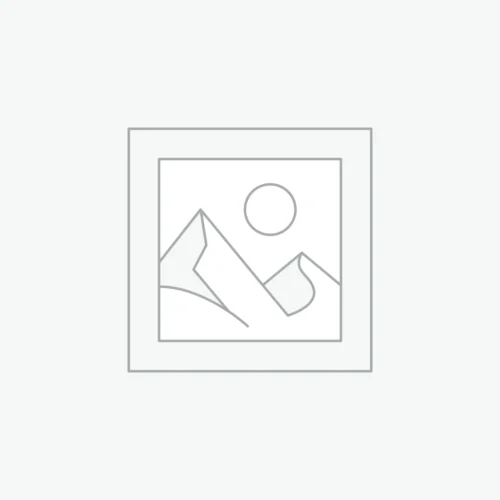 Fig Flip II Protective Case - Original (5 Colors)